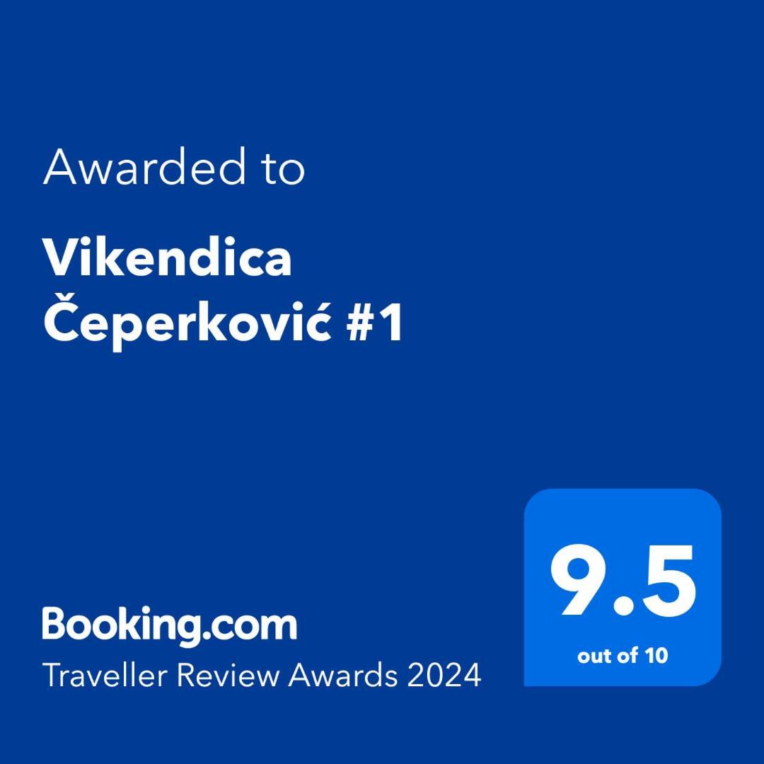 הוילה קופאוניק Vikendica Ceperkovic #1 מראה חיצוני תמונה